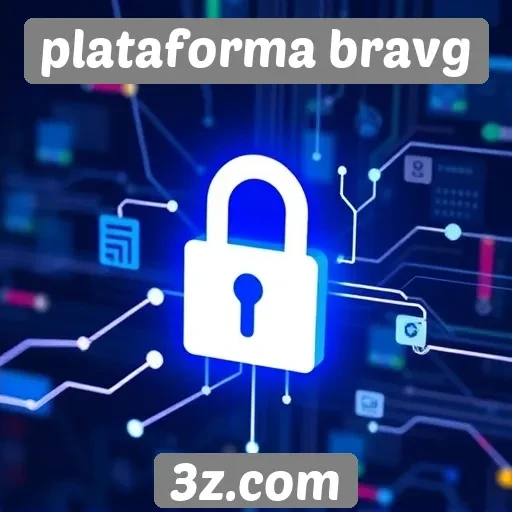 Visão sobre a segurança e privacidade na plataforma Bravg